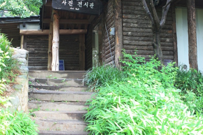 晨靜樹木園 (5/54)