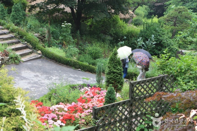 晨靜樹木園 (8/54)