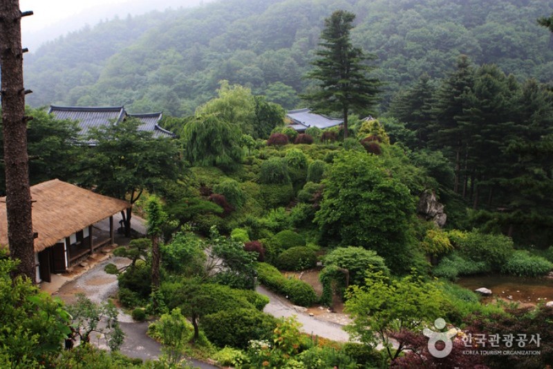 晨靜樹木園 (9/54)