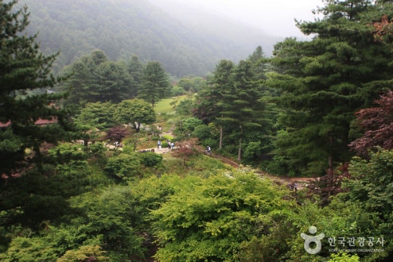 晨靜樹木園 (10/54)