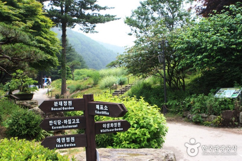 晨靜樹木園 (14/54)