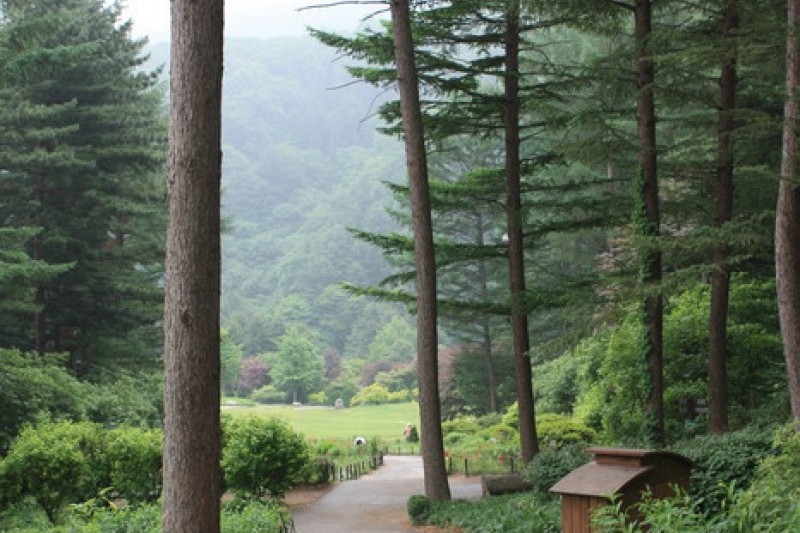 晨靜樹木園 (19/54)