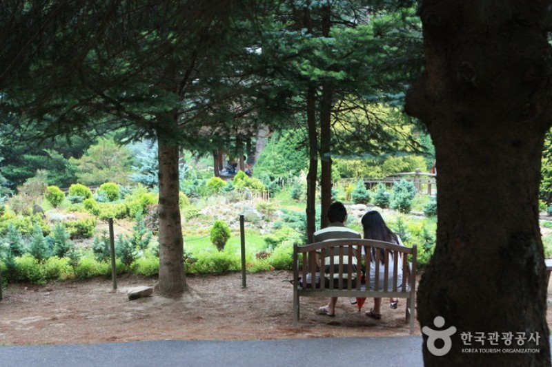 晨靜樹木園 (20/54)