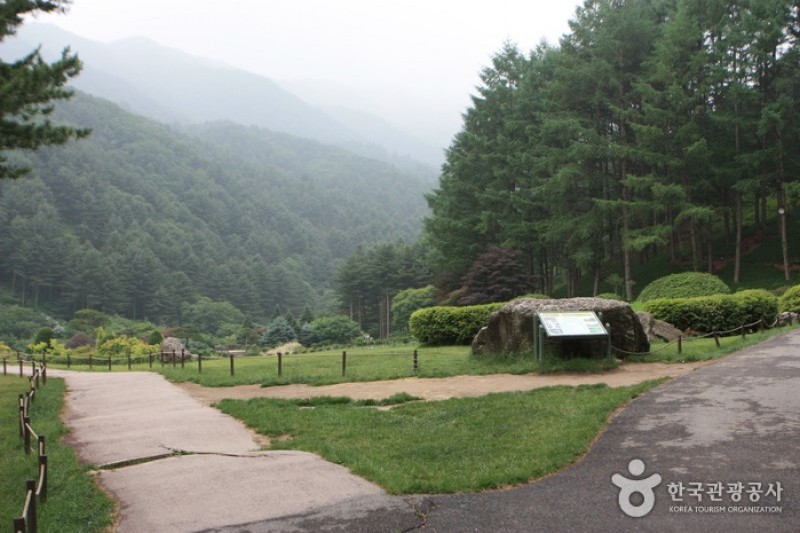 晨靜樹木園 (21/54)