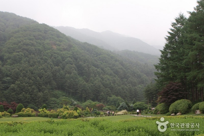 晨靜樹木園 (22/54)