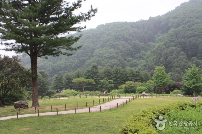 晨靜樹木園 (23/54)