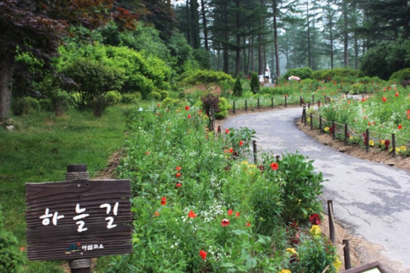 晨靜樹木園 (24/54)