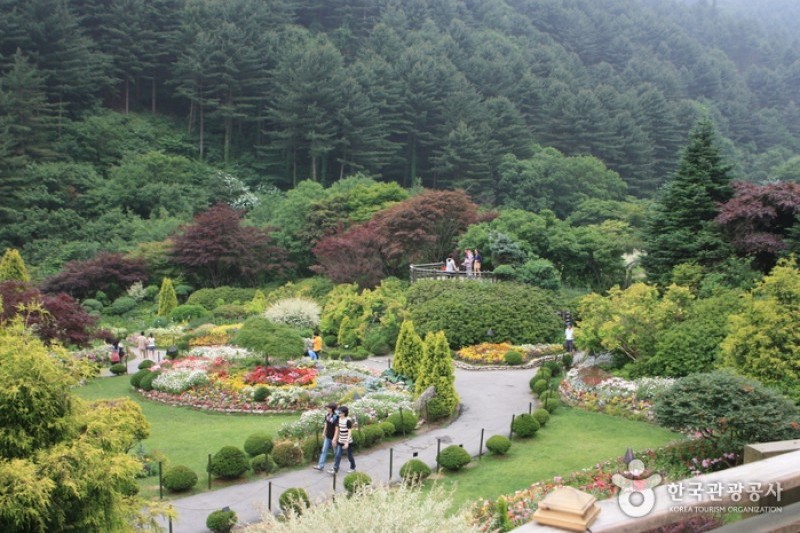 晨靜樹木園 (27/54)