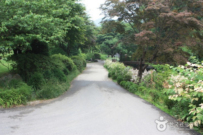 晨靜樹木園 (31/54)