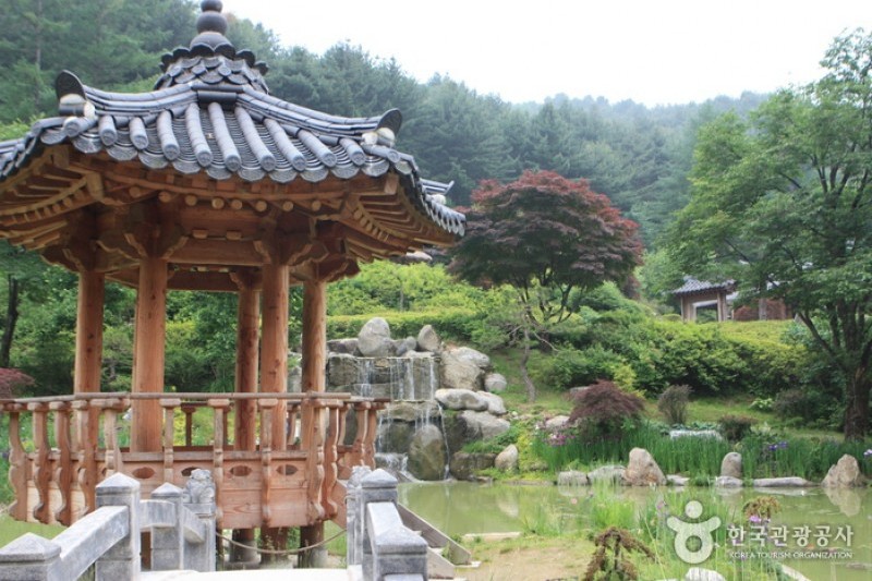 晨靜樹木園 (32/54)