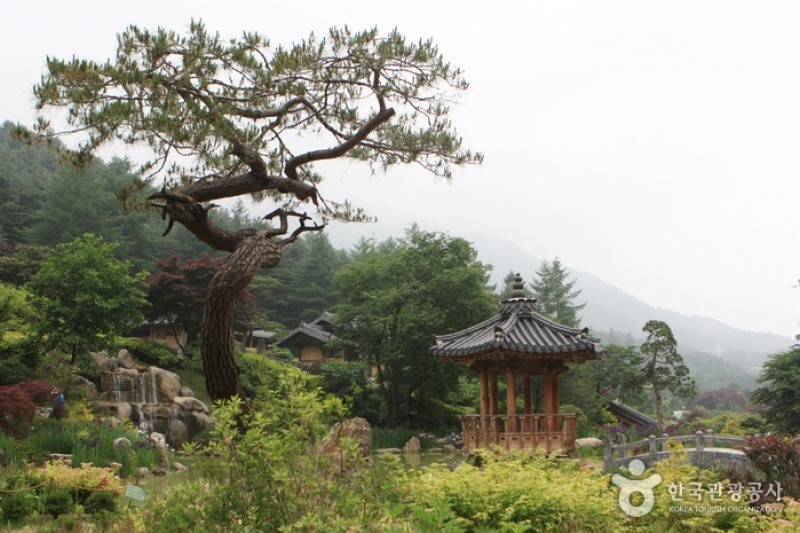晨靜樹木園 (33/54)