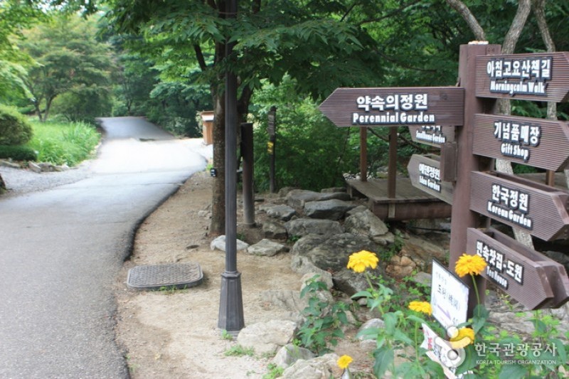 晨靜樹木園 (34/54)