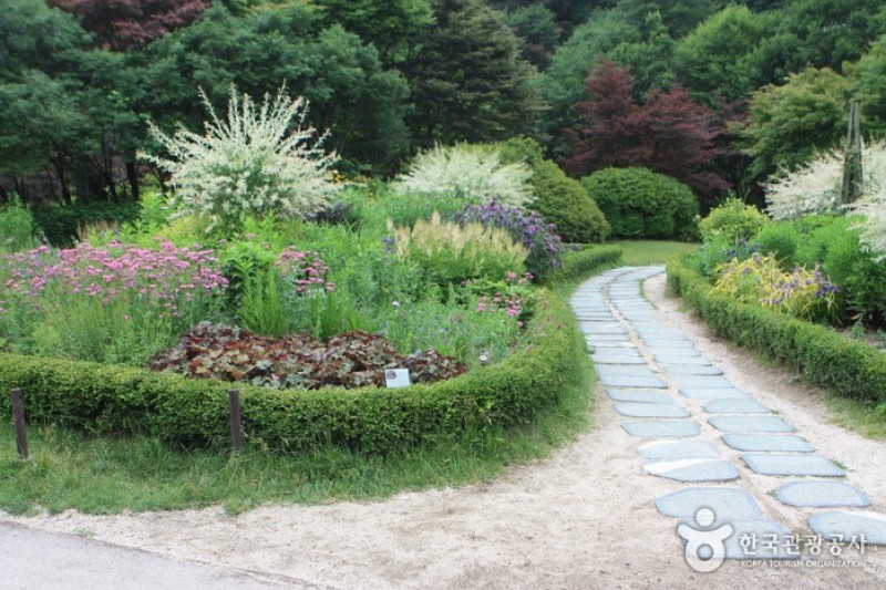 晨靜樹木園 (37/54)