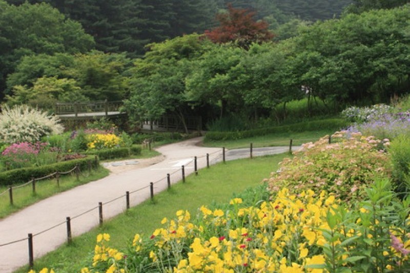 晨靜樹木園 (38/54)