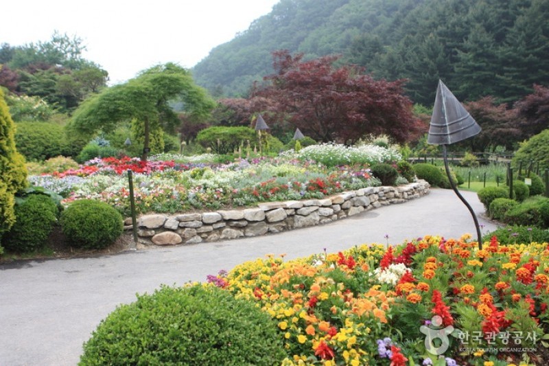 晨靜樹木園 (40/54)