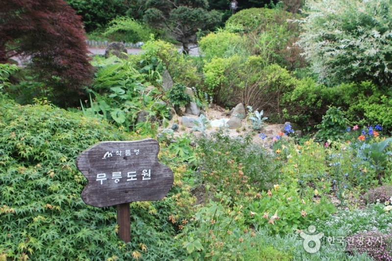 晨靜樹木園 (43/54)