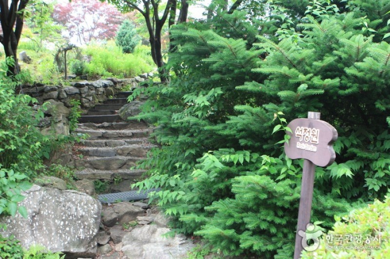 晨靜樹木園 (44/54)