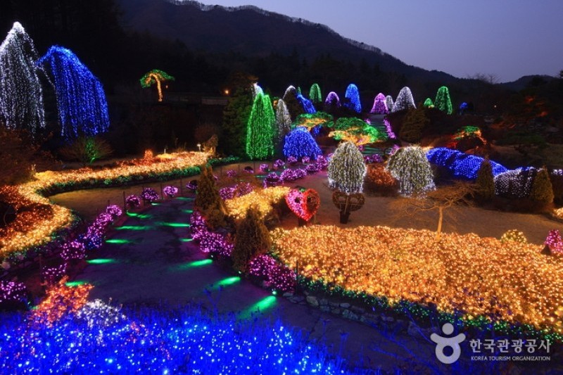 晨靜樹木園 (46/54)