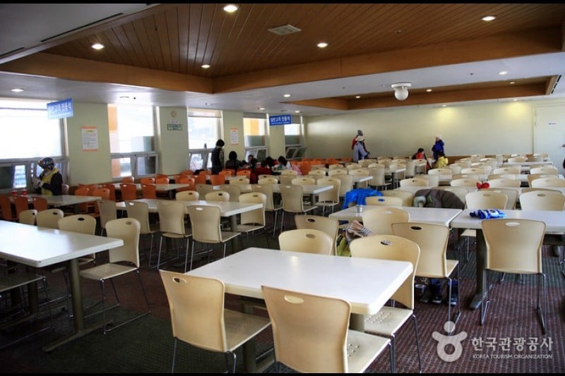 陽智Pine渡假村滑雪場 (4/8)