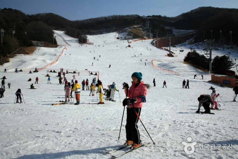 陽智Pine渡假村滑雪場 (7/8)