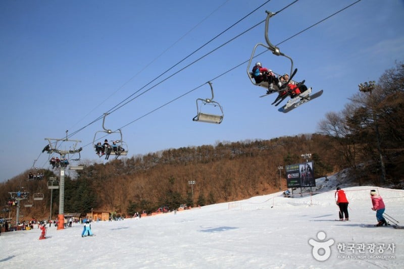 陽智Pine渡假村滑雪場 (8/8)