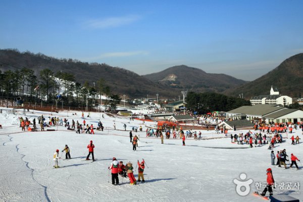芝山森林滑雪渡假村