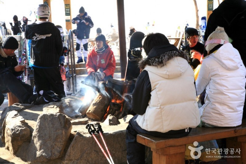 芝山森林滑雪渡假村 (3/6)