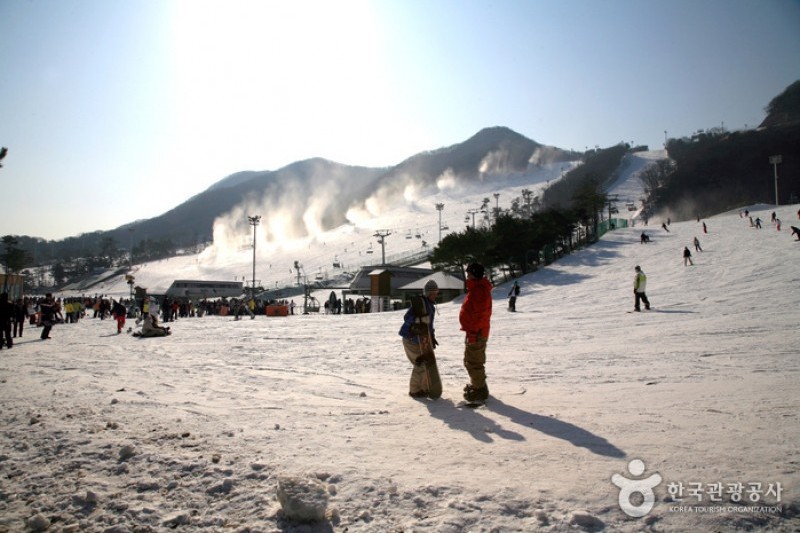 芝山森林滑雪渡假村 (4/6)