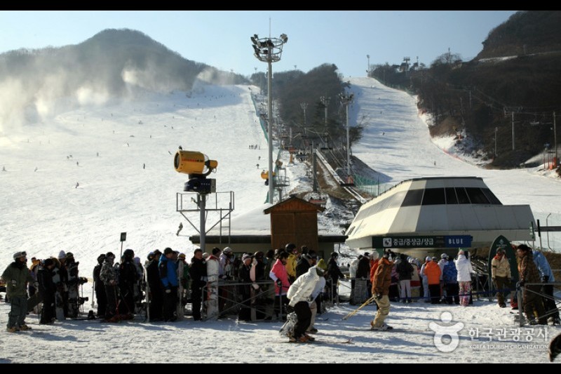 芝山森林滑雪渡假村 (5/6)