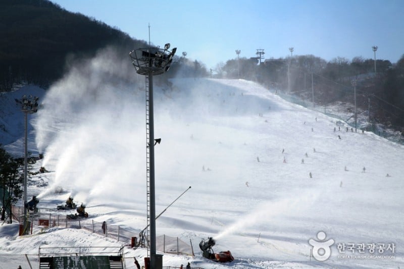 芝山森林滑雪渡假村 (6/6)