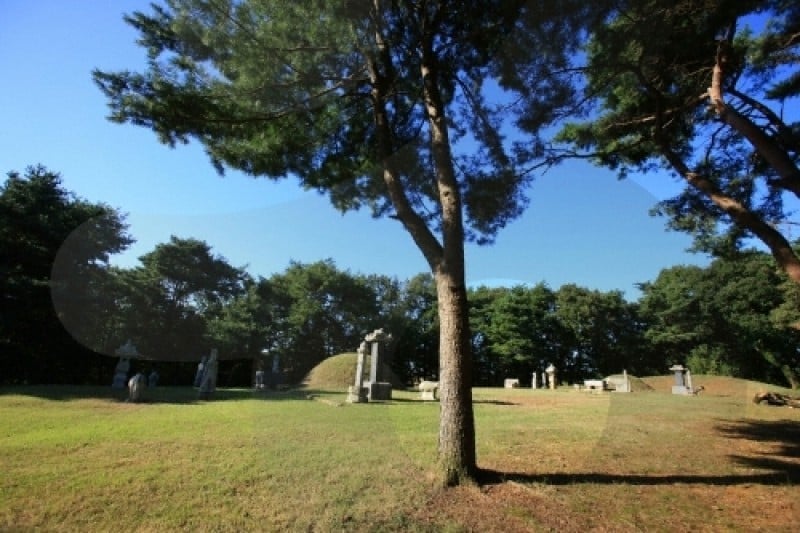 高陽西三陵 [UNESCO世界文化遺產] (14/21)