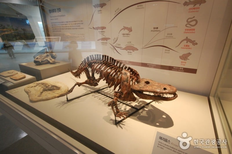 國立果川科學館 (13/14)