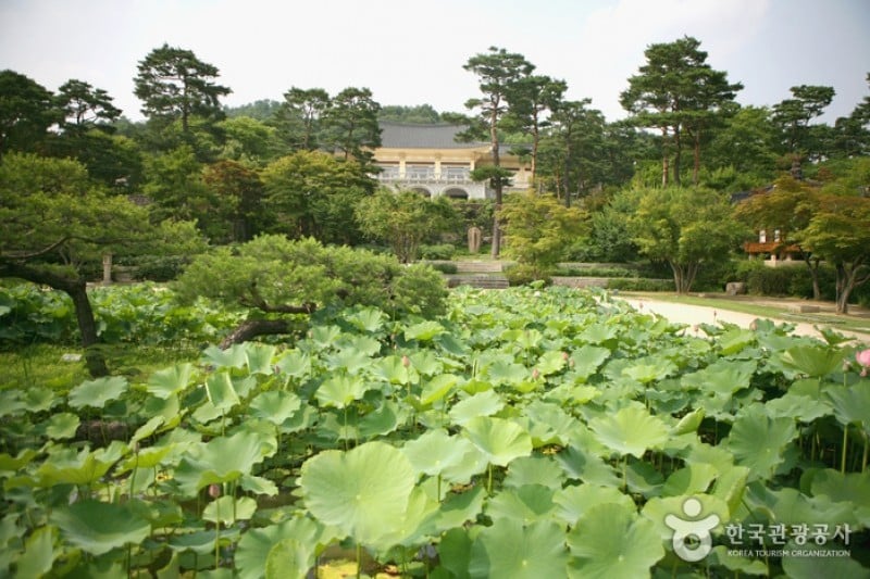 湖巖美術館