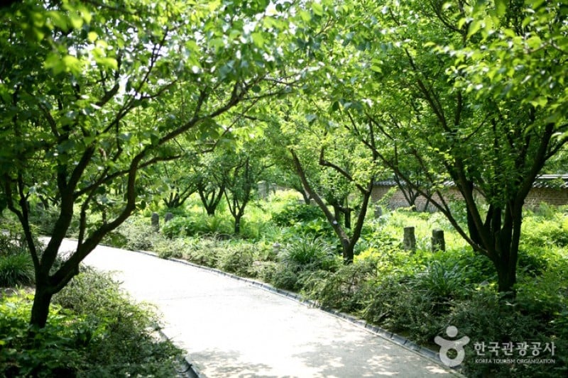湖巖美術館