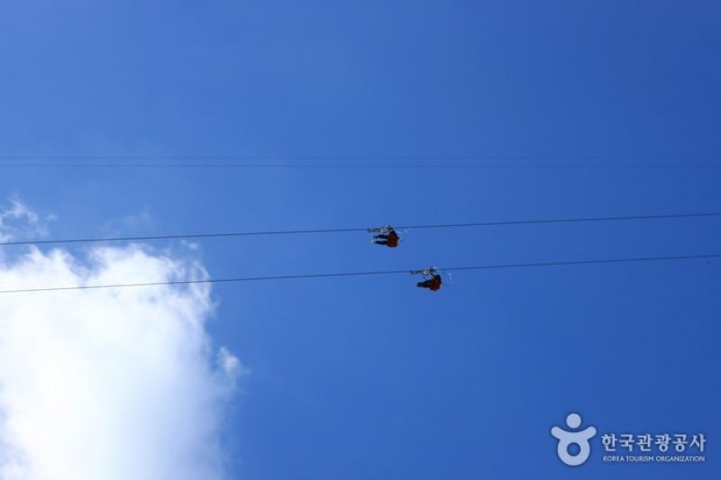 南怡島高空滑索