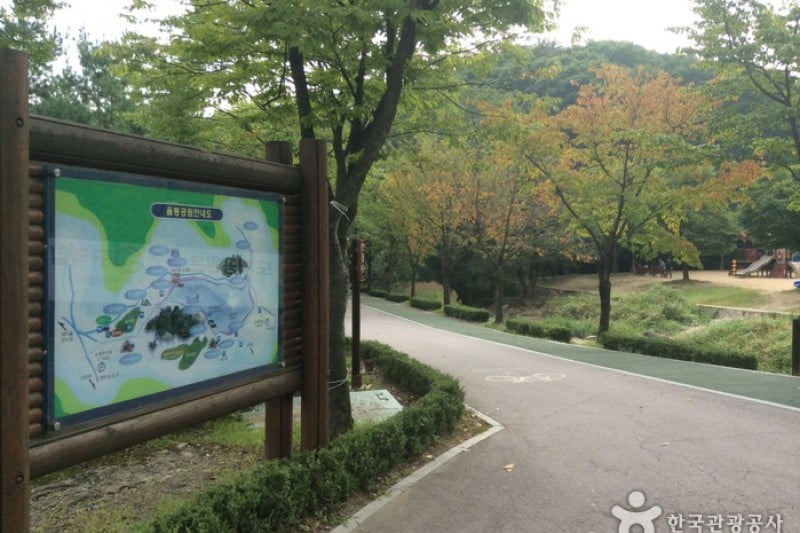 栗洞公園高空彈跳 (2/12)