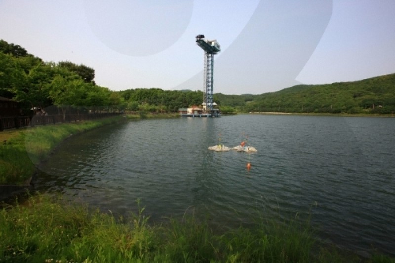 栗洞公園高空彈跳 (7/12)