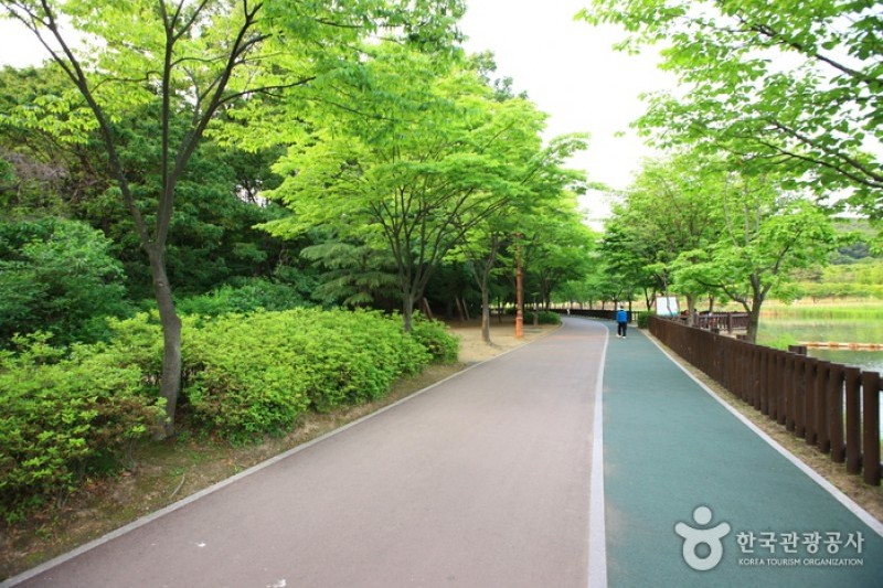 栗洞公園高空彈跳 (8/12)