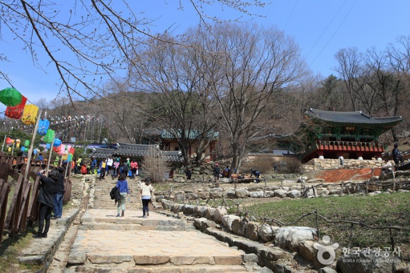 龍門寺(龍門山) (17/18)