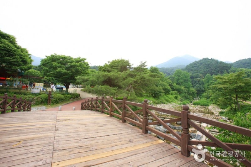 龍門山觀光園區 (16/26)