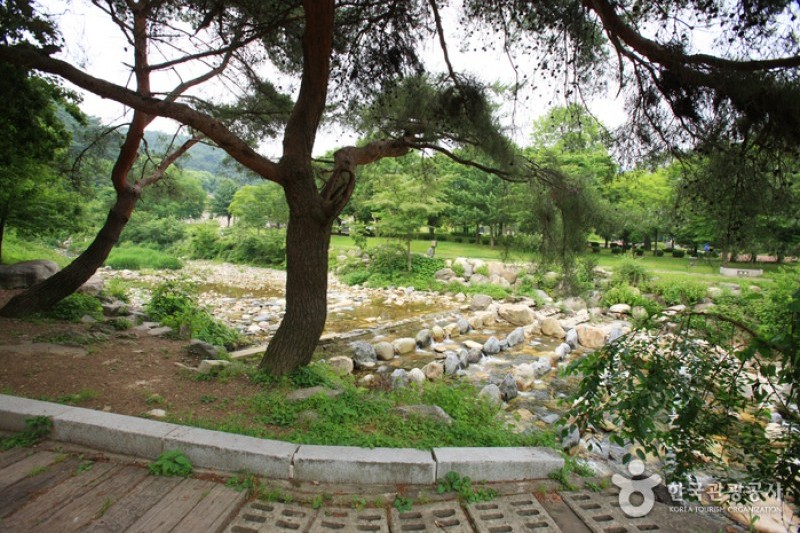 龍門山觀光園區 (18/26)