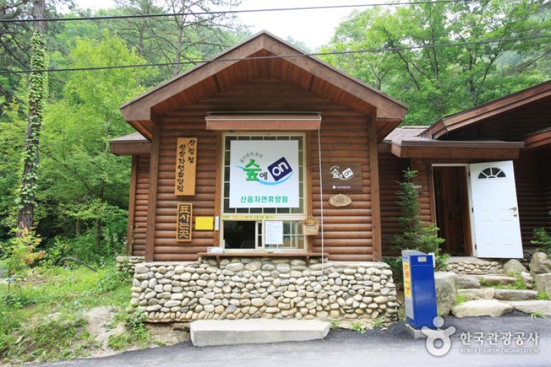 山陰自然休養林 (1/11)