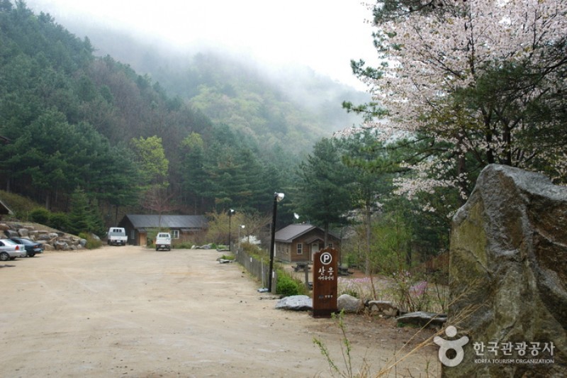 山陰自然休養林 (11/11)