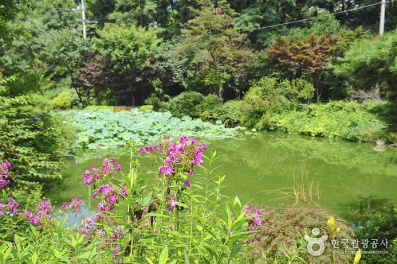 韓宅植物園