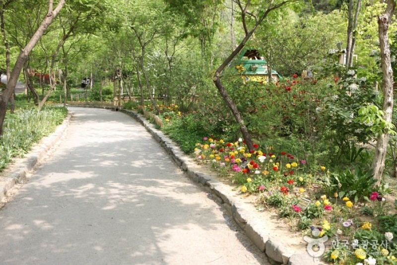 韓宅植物園