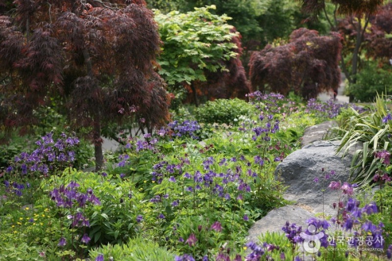 韓宅植物園
