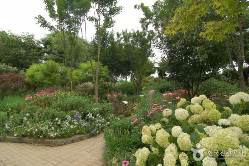 韓宅植物園