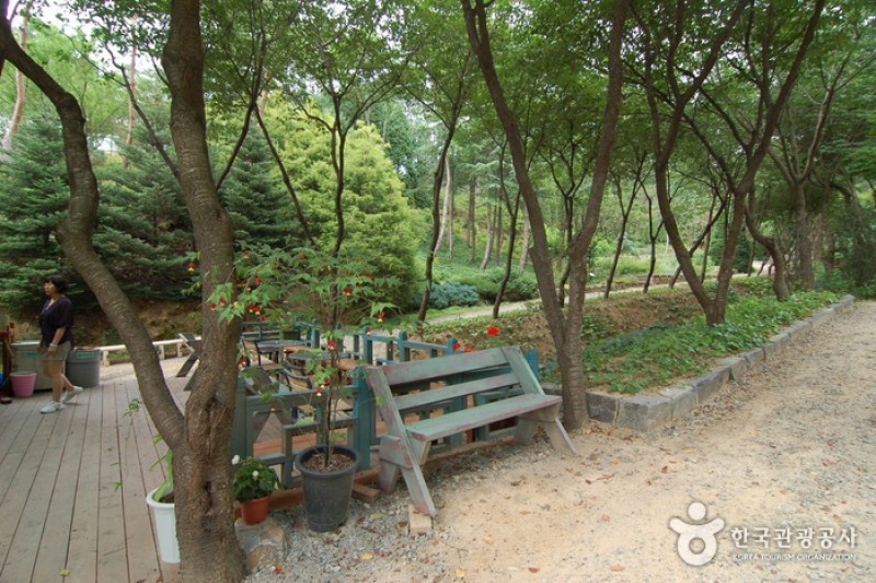 韓宅植物園