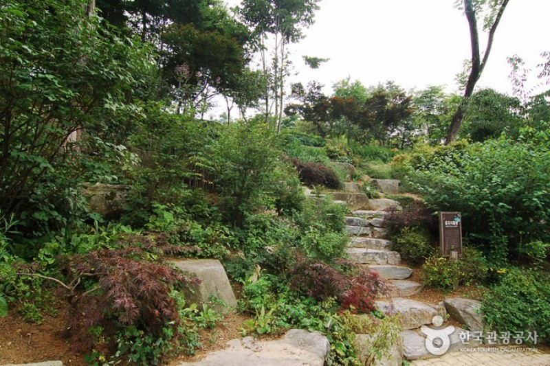 韓宅植物園