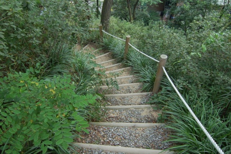 韓宅植物園